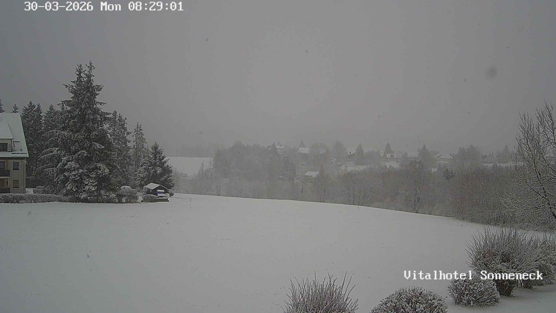 Archived image Webcam Hohegeiß-Braunlage: Panorama view