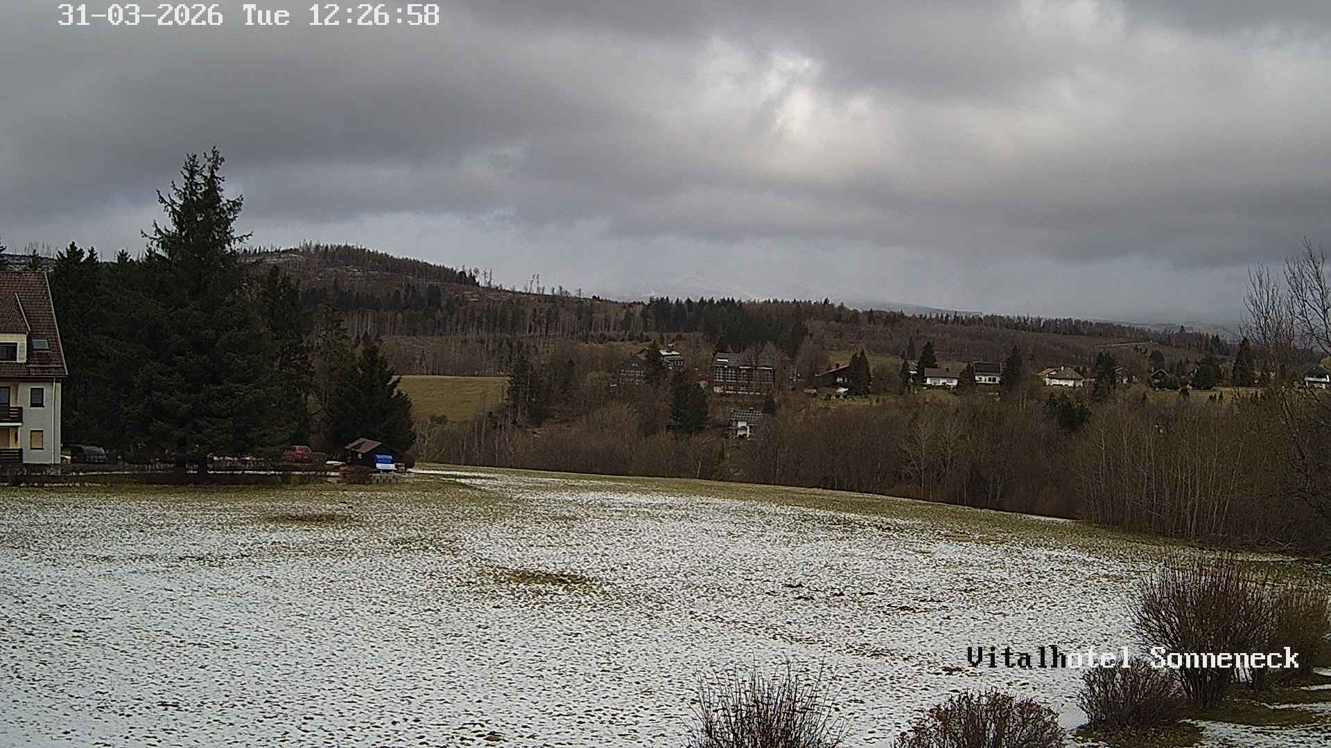 Archived image Webcam Hohegeiß-Braunlage: Panorama view