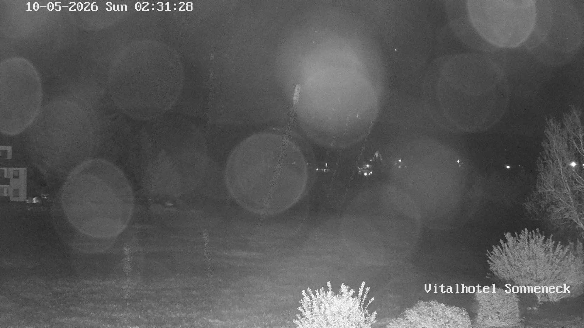 Archiv Foto Webcam Braunlage-Hohegeiß: Blick über das Tal