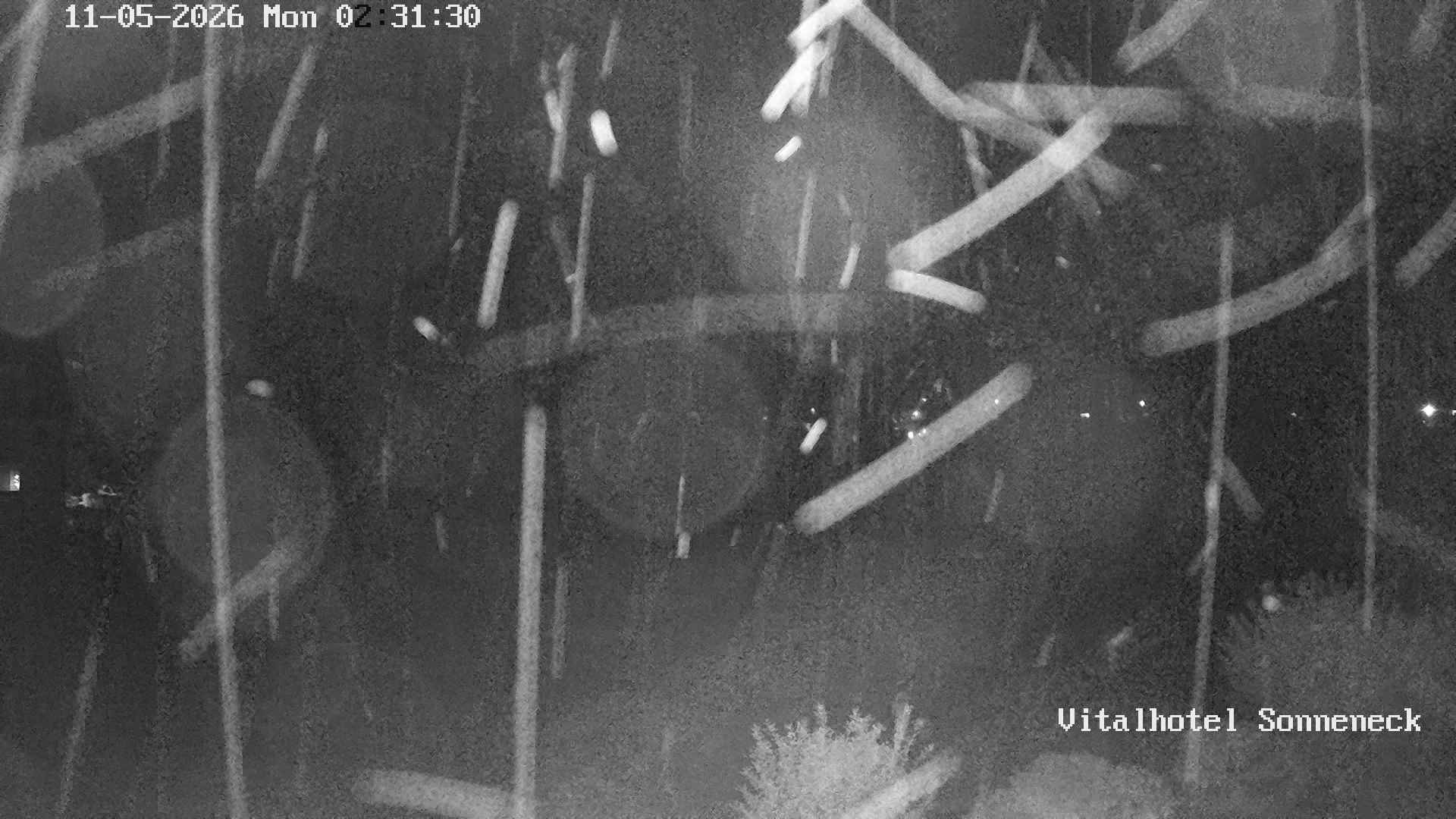 Archiv Foto Webcam Braunlage-Hohegeiß: Blick über das Tal