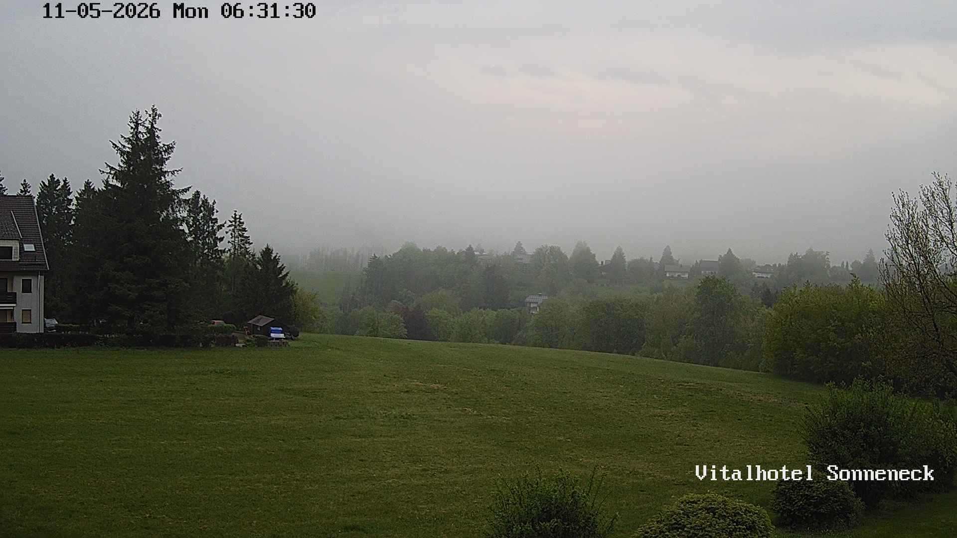 Archiv Foto Webcam Braunlage-Hohegeiß: Blick über das Tal