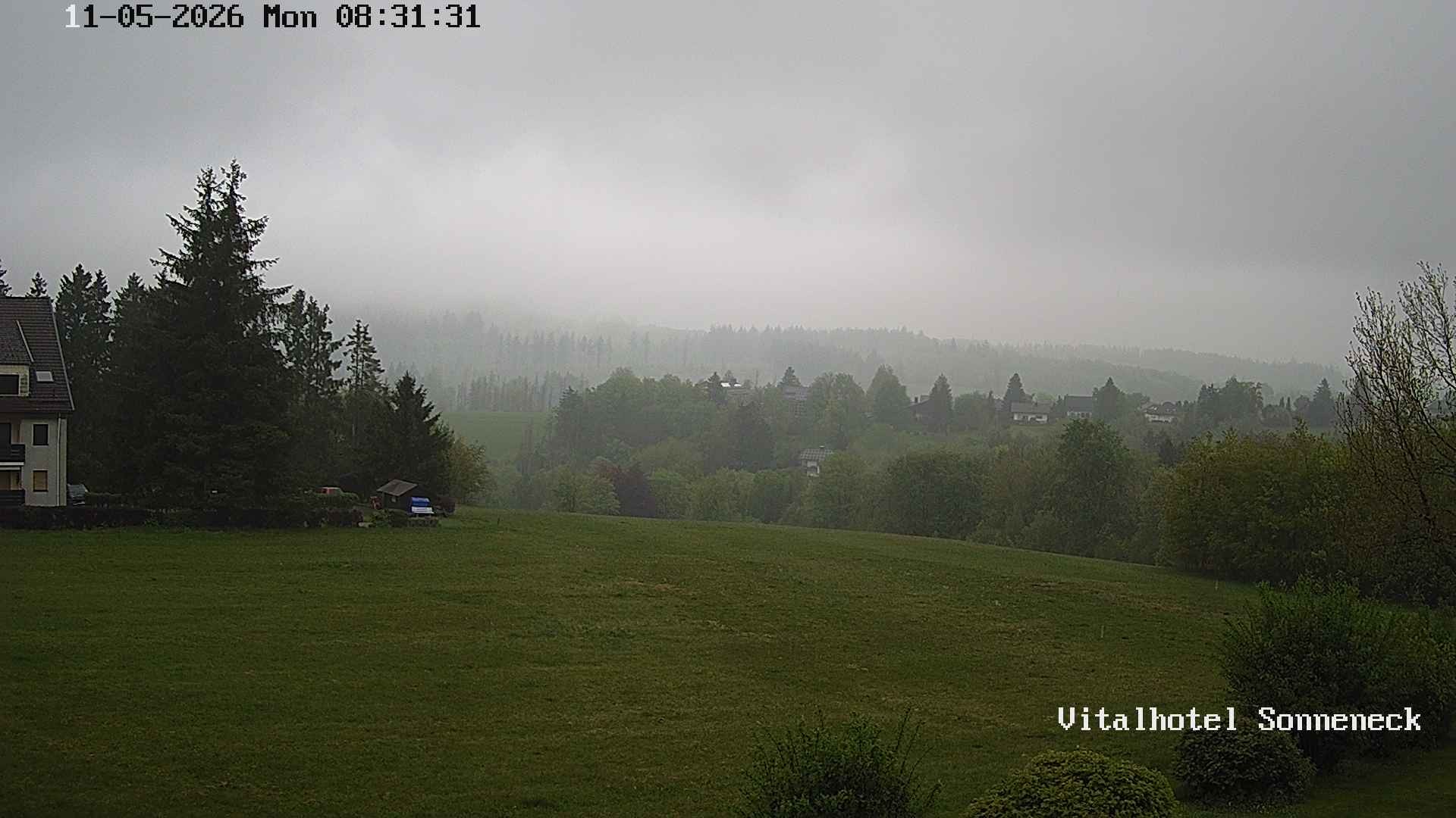 Archiv Foto Webcam Braunlage-Hohegeiß: Blick über das Tal