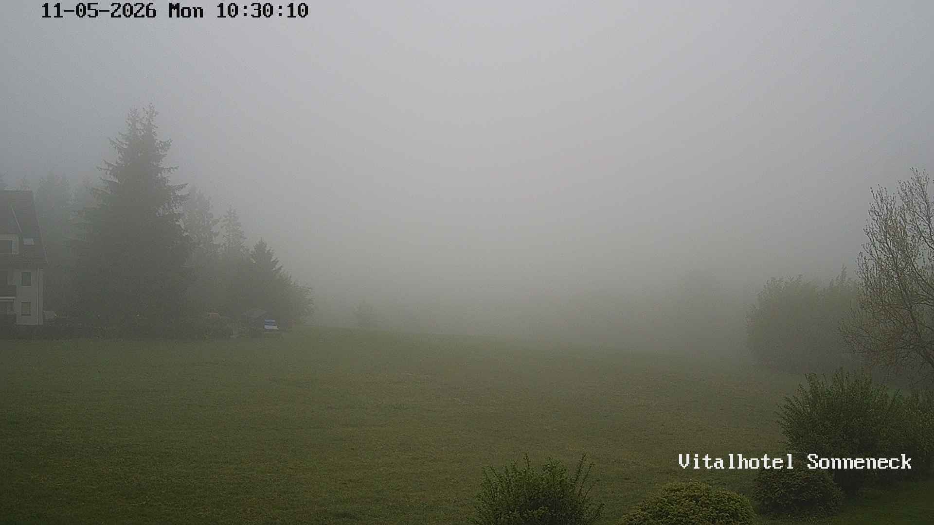 Archiv Foto Webcam Braunlage-Hohegeiß: Blick über das Tal