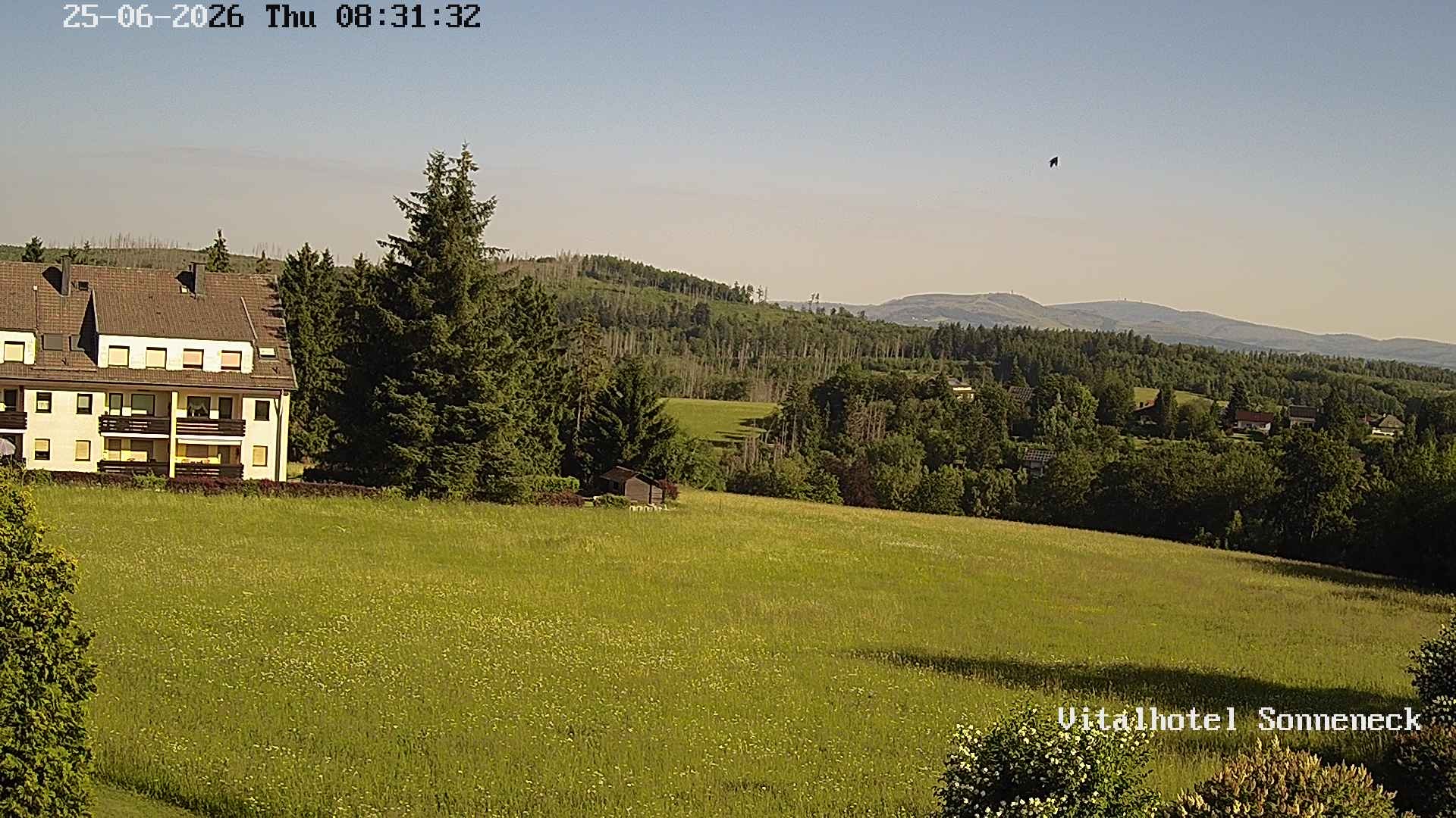 Archiv Foto Webcam Braunlage-Hohegeiß: Blick über das Tal
