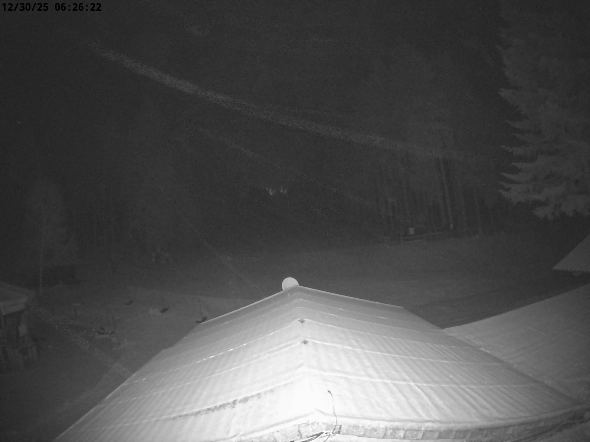 Archiv Foto Nationalpark Hunsrück-Hochwald: Webcam Erbeskopf