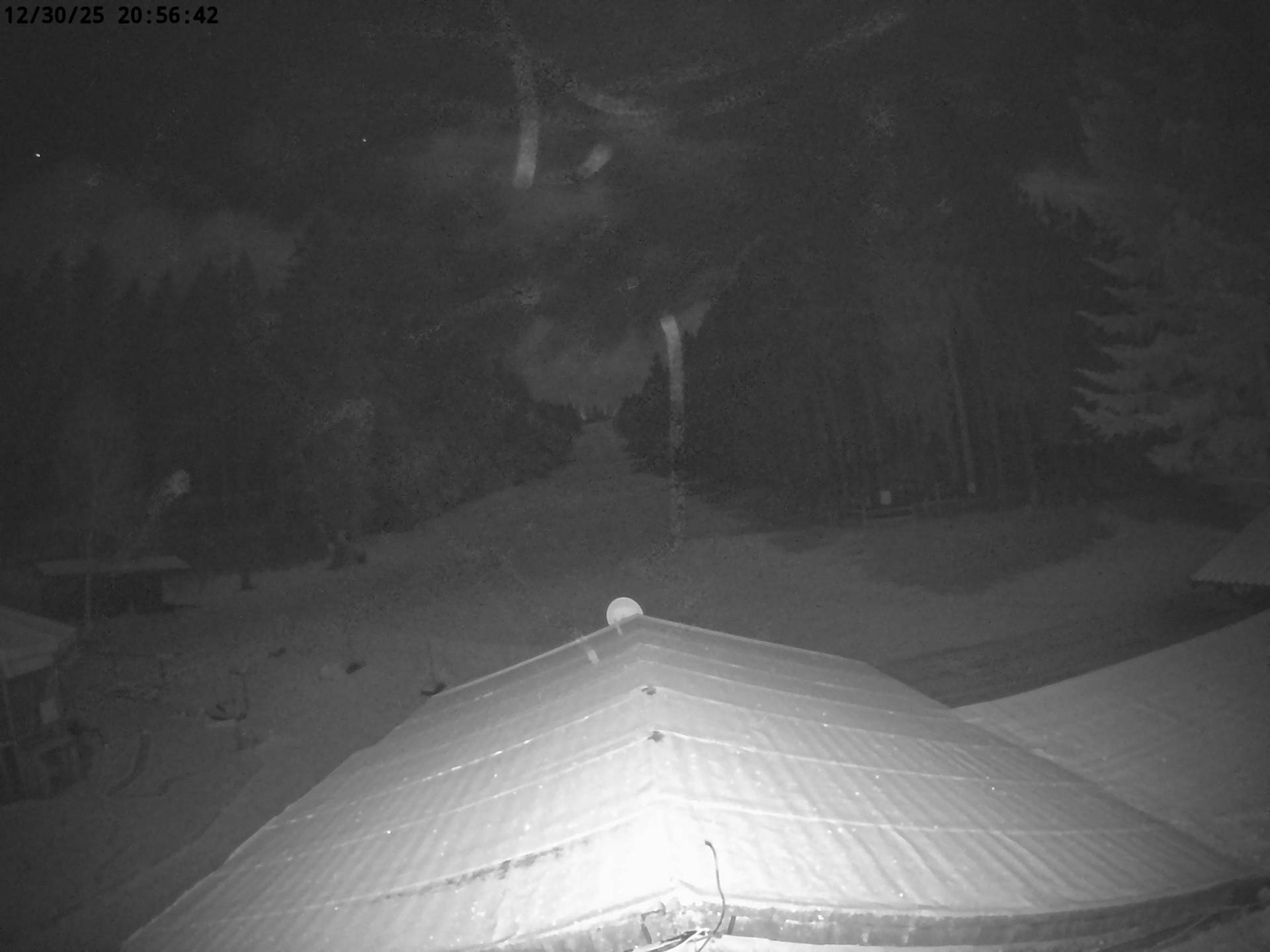 Archiv Foto Nationalpark Hunsrück-Hochwald: Webcam Erbeskopf