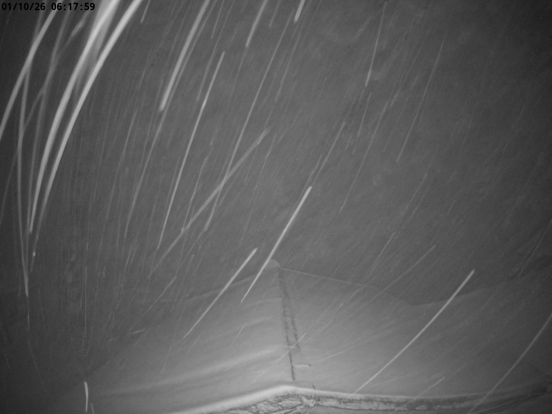 Archiv Foto Nationalpark Hunsrück-Hochwald: Webcam Erbeskopf