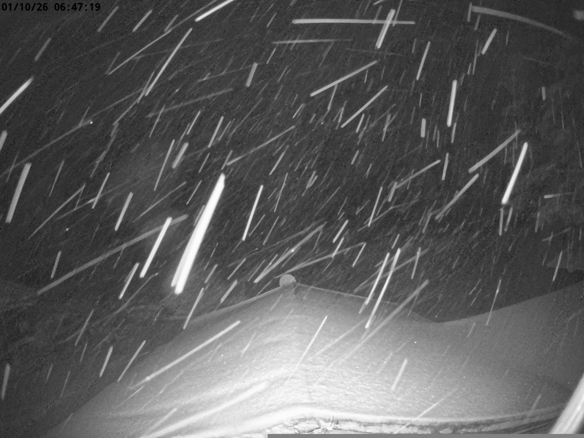 Archiv Foto Nationalpark Hunsrück-Hochwald: Webcam Erbeskopf