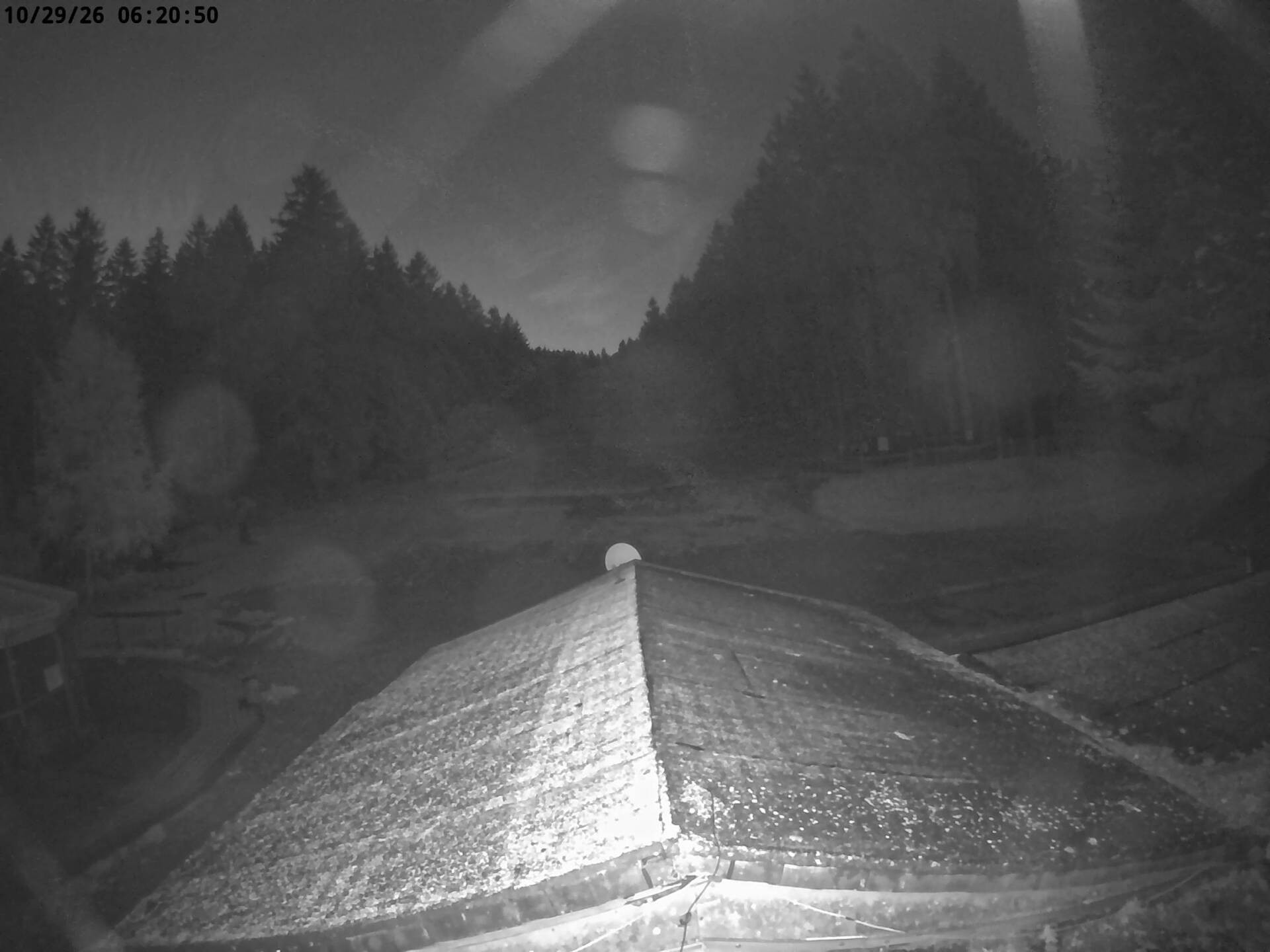 Archiv Foto Nationalpark Hunsrück-Hochwald: Webcam Erbeskopf