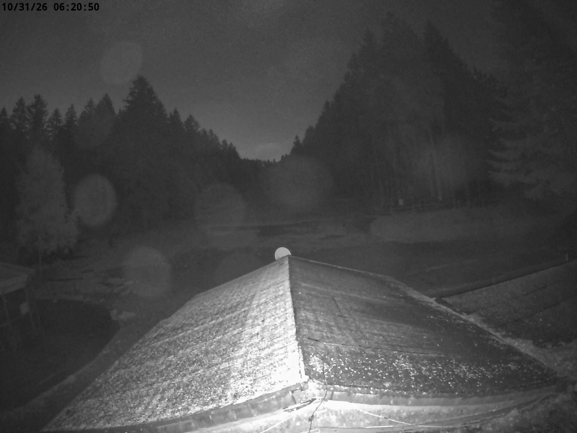 Archiv Foto Nationalpark Hunsrück-Hochwald: Webcam Erbeskopf