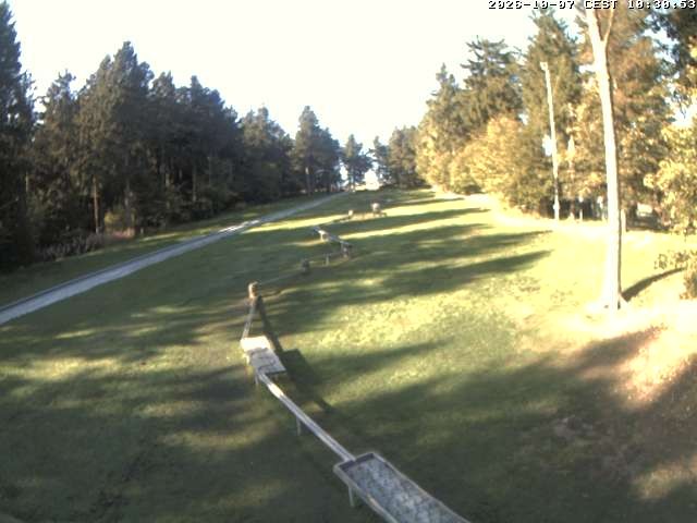 Archived image Webcam Ski run at Wasserkuppe mountain