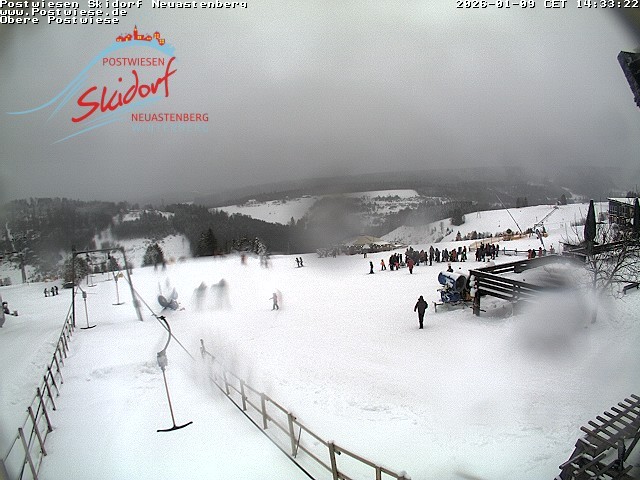 Archiv Foto Webcam Obere Postwiese in Neuastenberg