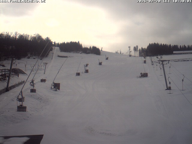 Archiv Foto Webcam Steinbrink Nordhang