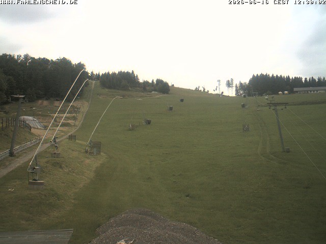 Archiv Foto Webcam Steinbrink Nordhang