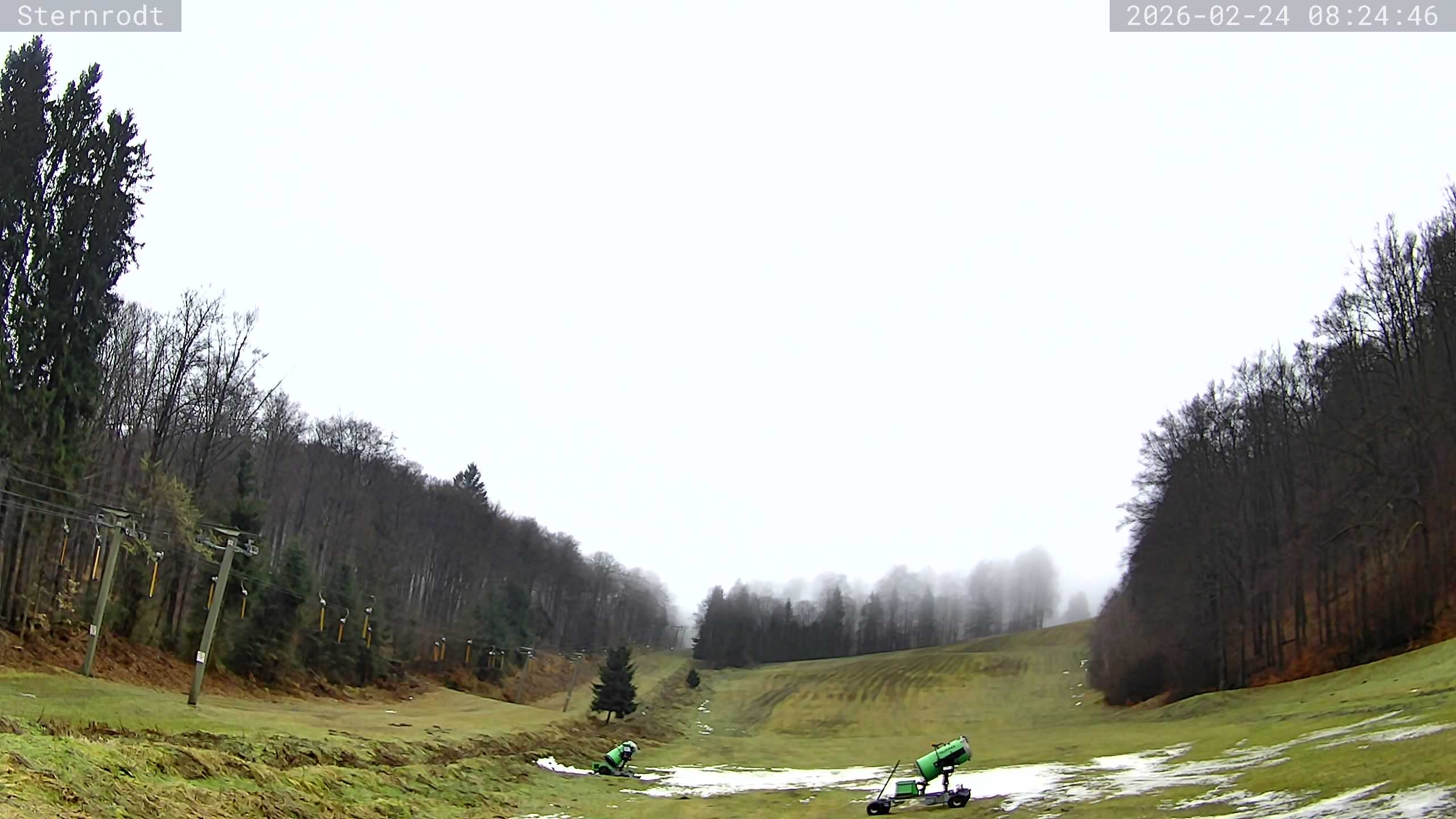 Archived image Webcam summer toboggan run, Bruchhausen