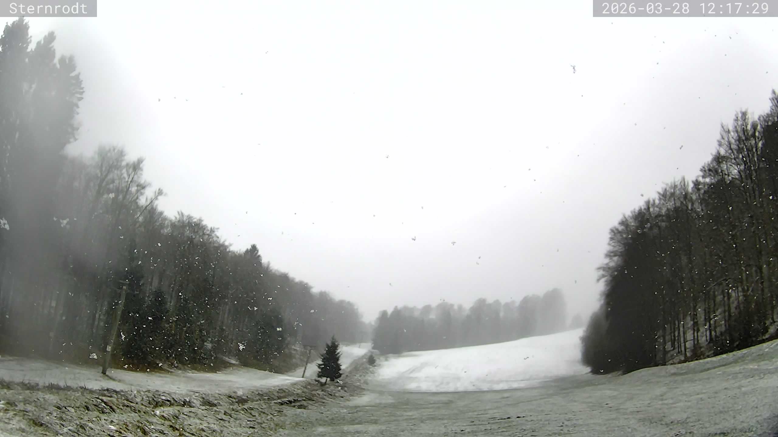 Archiv Foto Webcam Rodelbahn Bruchhausen