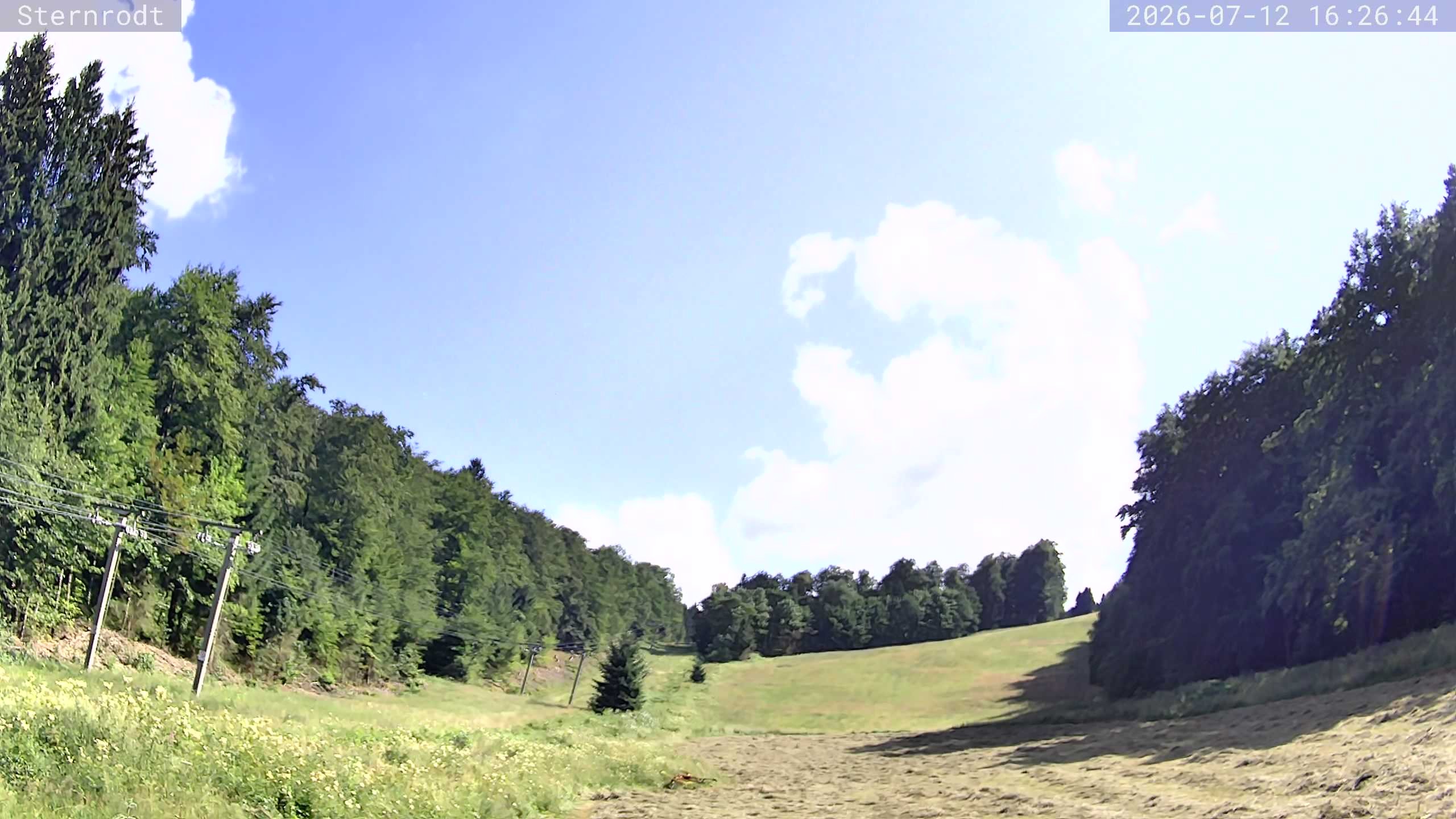 Archived image Webcam summer toboggan run, Bruchhausen