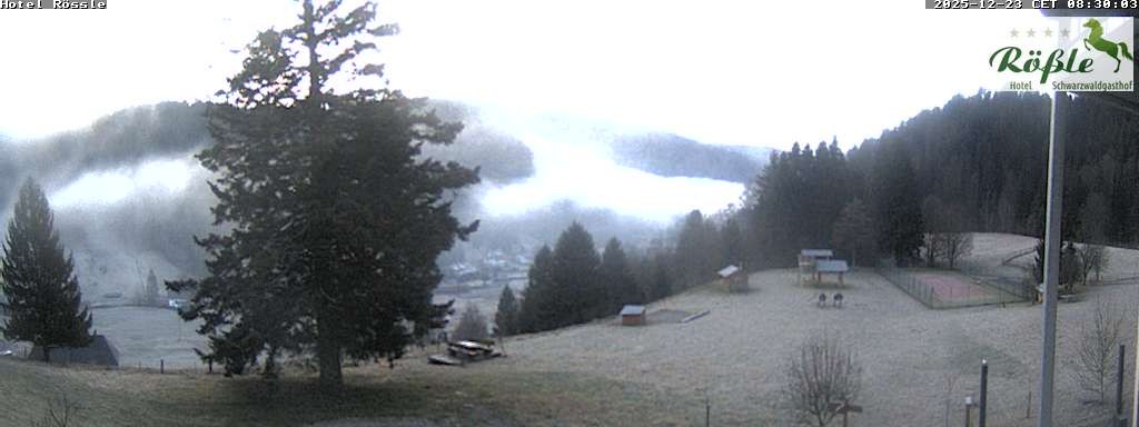 Archiv Foto Webcam Todtmooser Tal im Schwarzwald