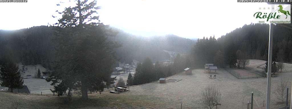 Archiv Foto Webcam Todtmooser Tal im Schwarzwald