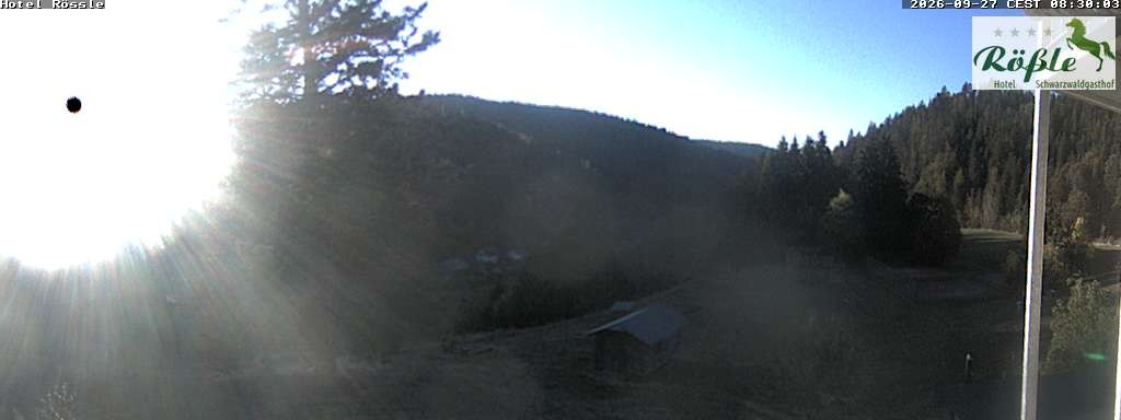 Archiv Foto Webcam Todtmooser Tal im Schwarzwald