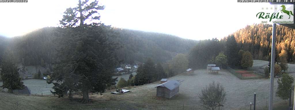 Archiv Foto Webcam Todtmooser Tal im Schwarzwald