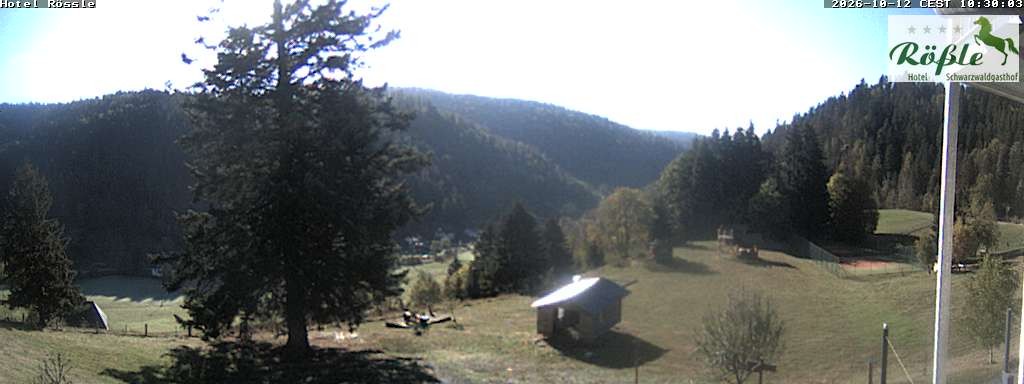 Archiv Foto Webcam Todtmooser Tal im Schwarzwald