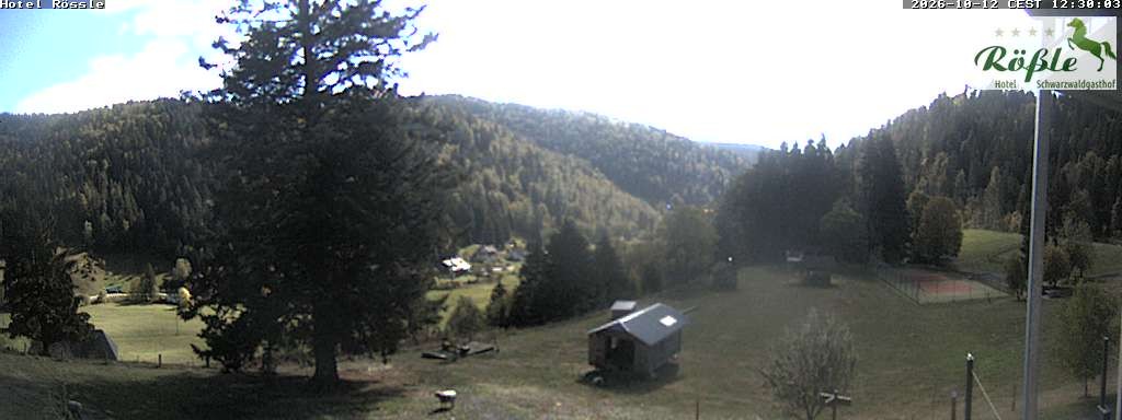 Archiv Foto Webcam Todtmooser Tal im Schwarzwald