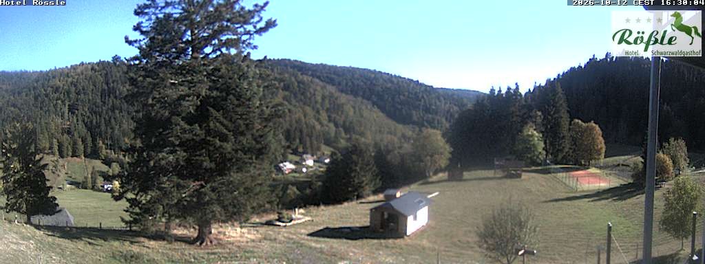 Archiv Foto Webcam Todtmooser Tal im Schwarzwald