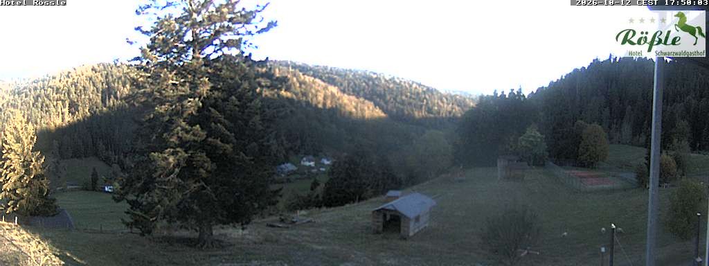 Archiv Foto Webcam Todtmooser Tal im Schwarzwald