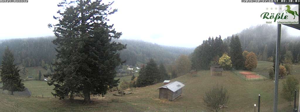 Archiv Foto Webcam Todtmooser Tal im Schwarzwald