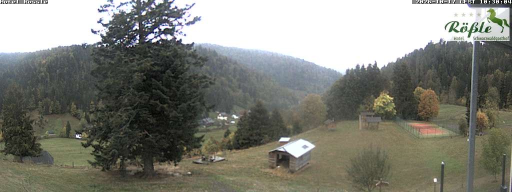 Archiv Foto Webcam Todtmooser Tal im Schwarzwald