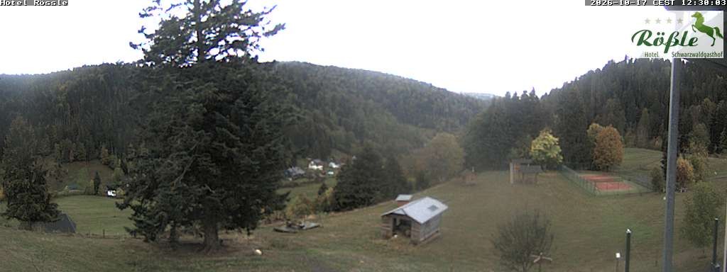 Archiv Foto Webcam Todtmooser Tal im Schwarzwald
