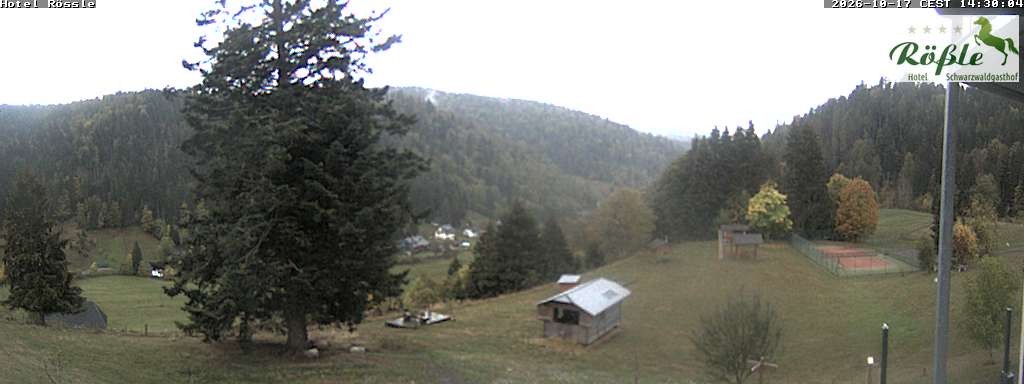 Archiv Foto Webcam Todtmooser Tal im Schwarzwald