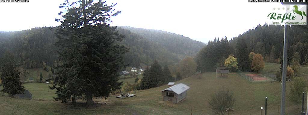 Archiv Foto Webcam Todtmooser Tal im Schwarzwald