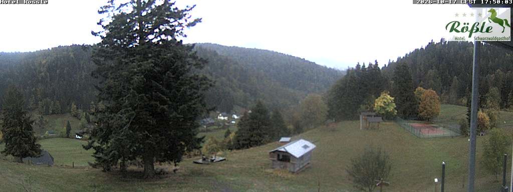 Archiv Foto Webcam Todtmooser Tal im Schwarzwald
