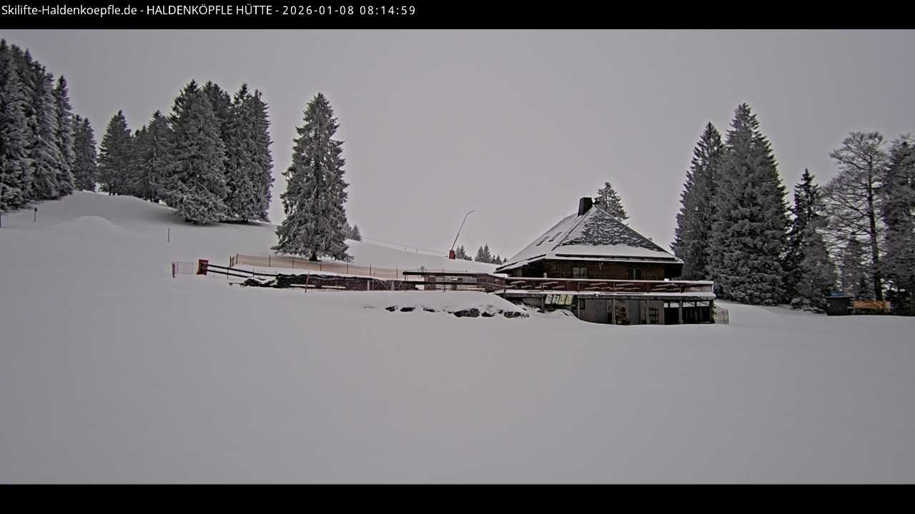 Archiv Foto Webcam Haldenköpfle im Schwarzwald - Hütte