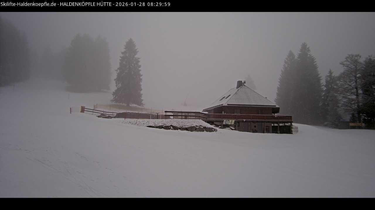 Archiv Foto Webcam Haldenköpfle im Schwarzwald - Hütte