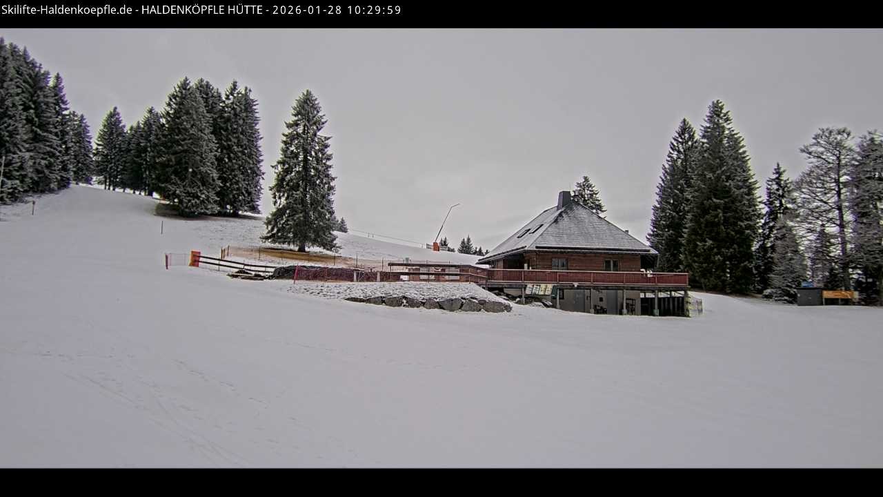 Archiv Foto Webcam Haldenköpfle im Schwarzwald - Hütte