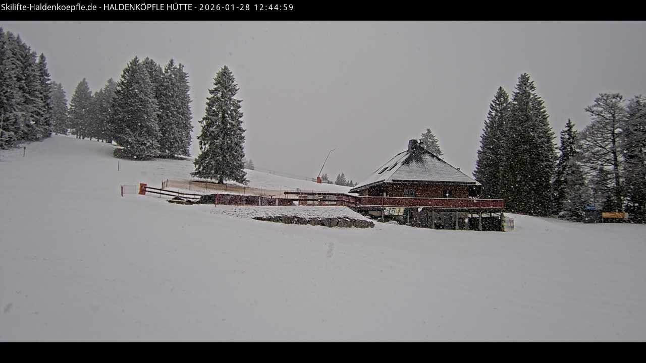 Archiv Foto Webcam Haldenköpfle im Schwarzwald - Hütte