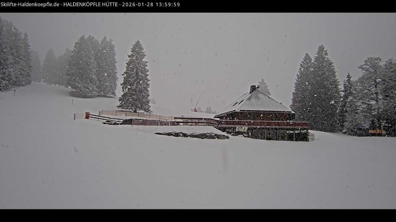 Archiv Foto Webcam Haldenköpfle im Schwarzwald - Hütte