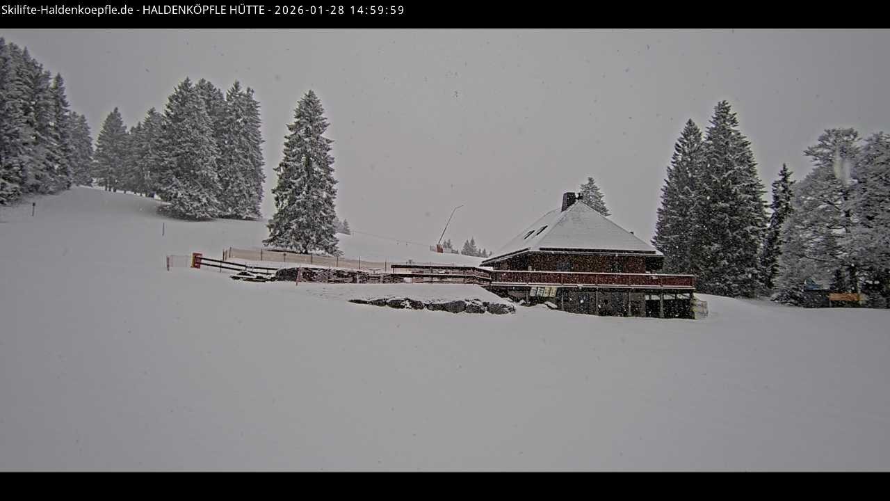 Archiv Foto Webcam Haldenköpfle im Schwarzwald - Hütte
