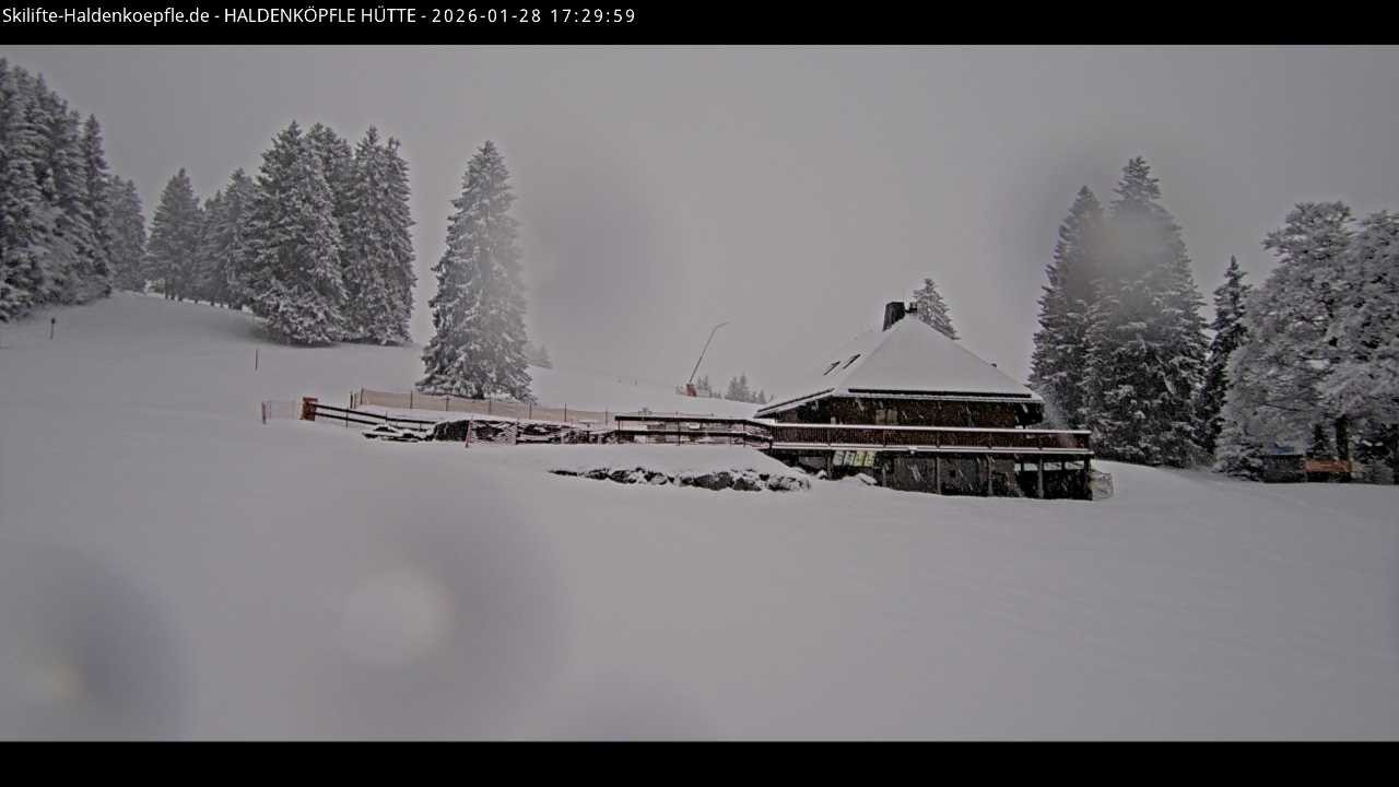 Archiv Foto Webcam Haldenköpfle im Schwarzwald - Hütte
