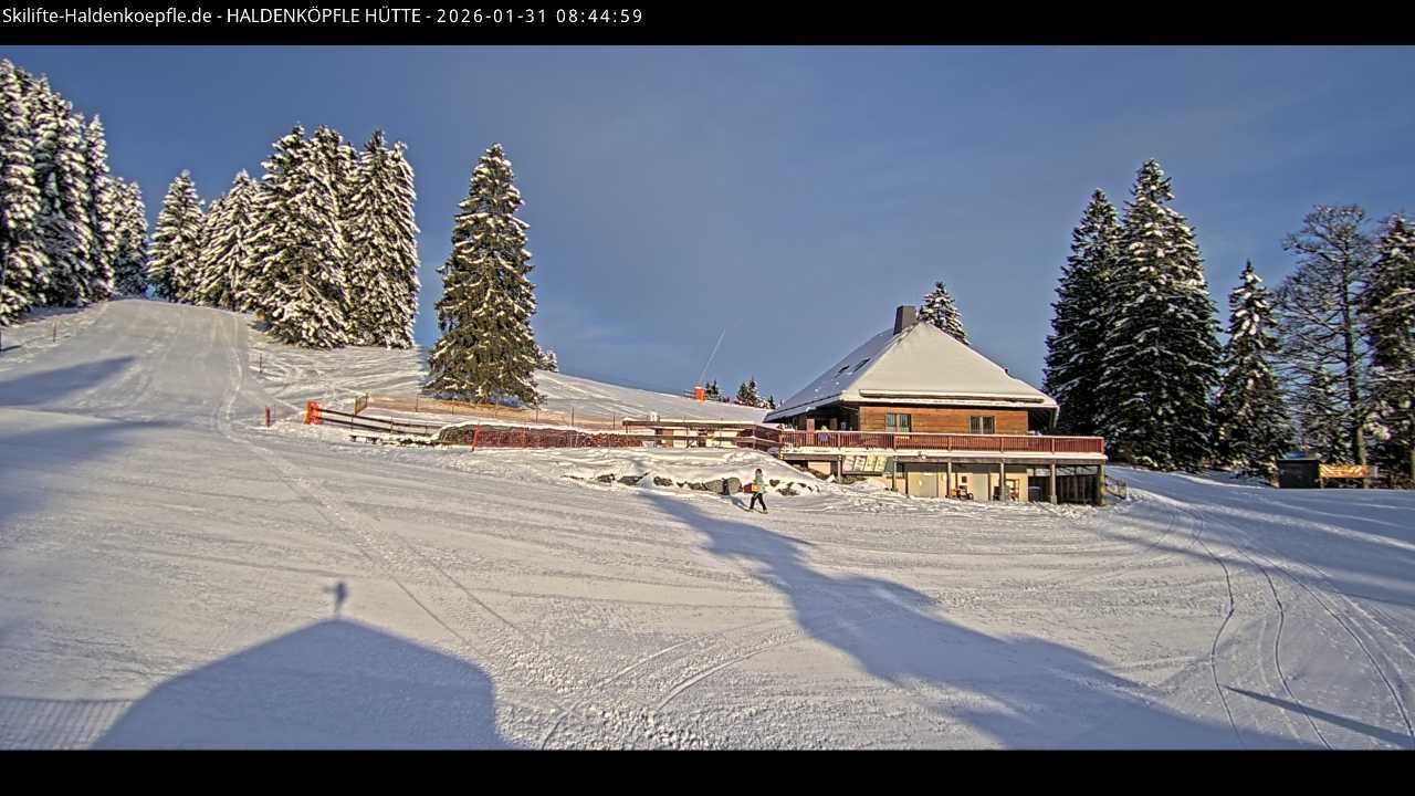 Archiv Foto Webcam Haldenköpfle im Schwarzwald - Hütte