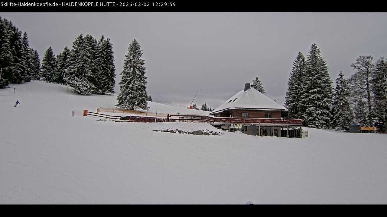 Archiv Foto Webcam Haldenköpfle im Schwarzwald - Hütte
