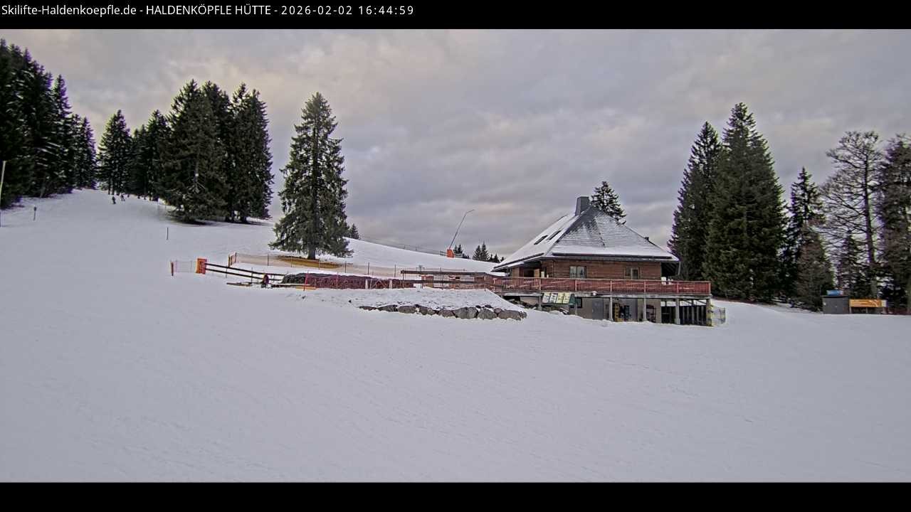 Archiv Foto Webcam Haldenköpfle im Schwarzwald - Hütte