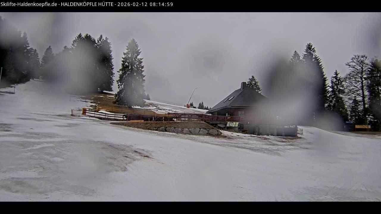 Archiv Foto Webcam Haldenköpfle im Schwarzwald - Hütte