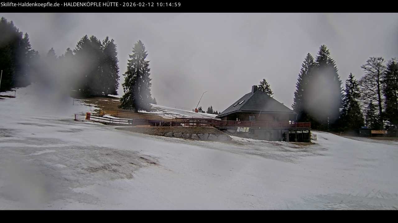 Archiv Foto Webcam Haldenköpfle im Schwarzwald - Hütte