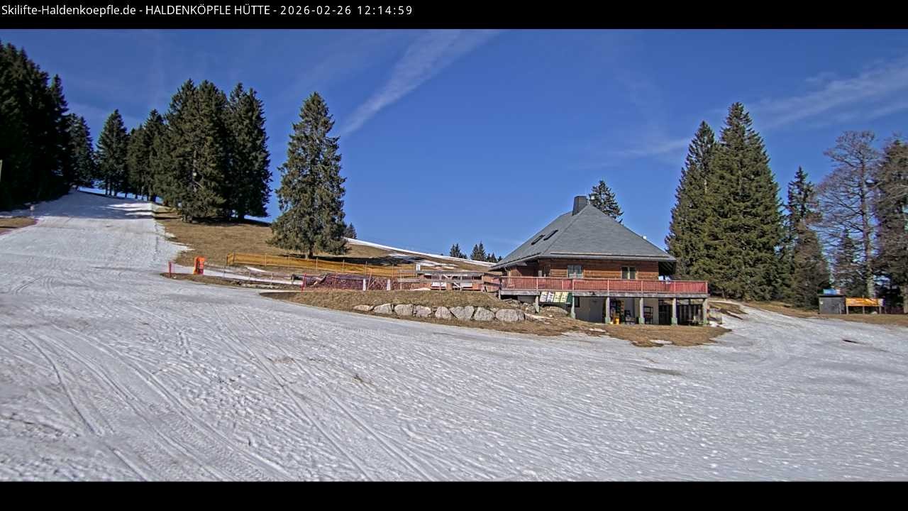 Archived image Webcam Haldenköpfle at Black Forest