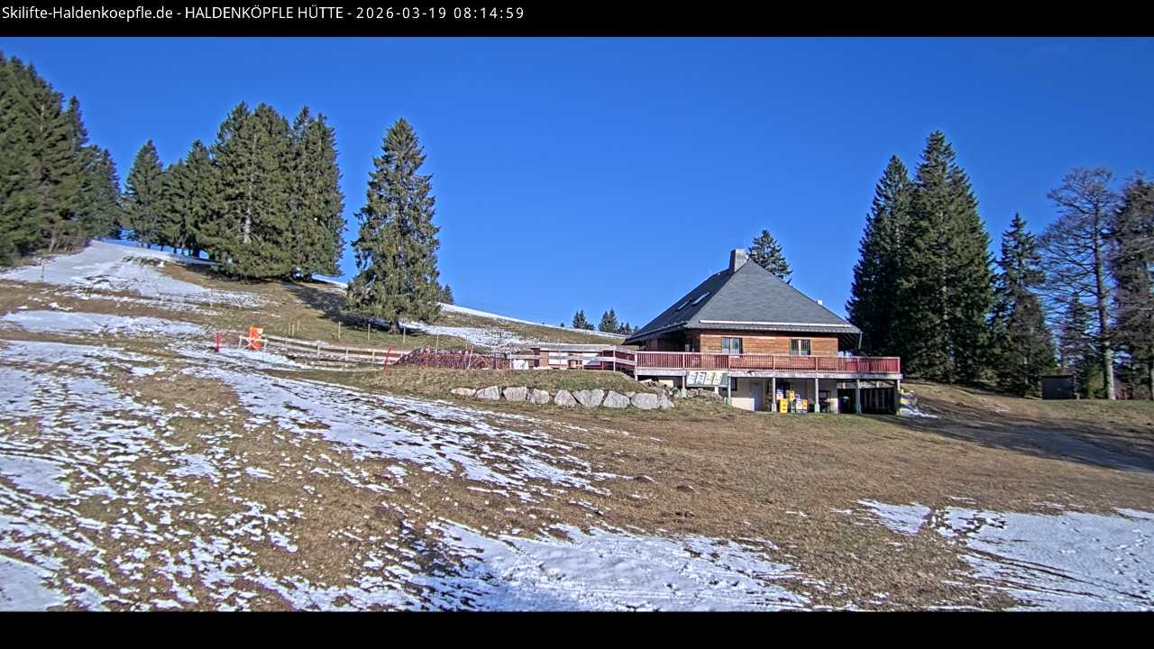 Archiv Foto Webcam Haldenköpfle im Schwarzwald - Hütte