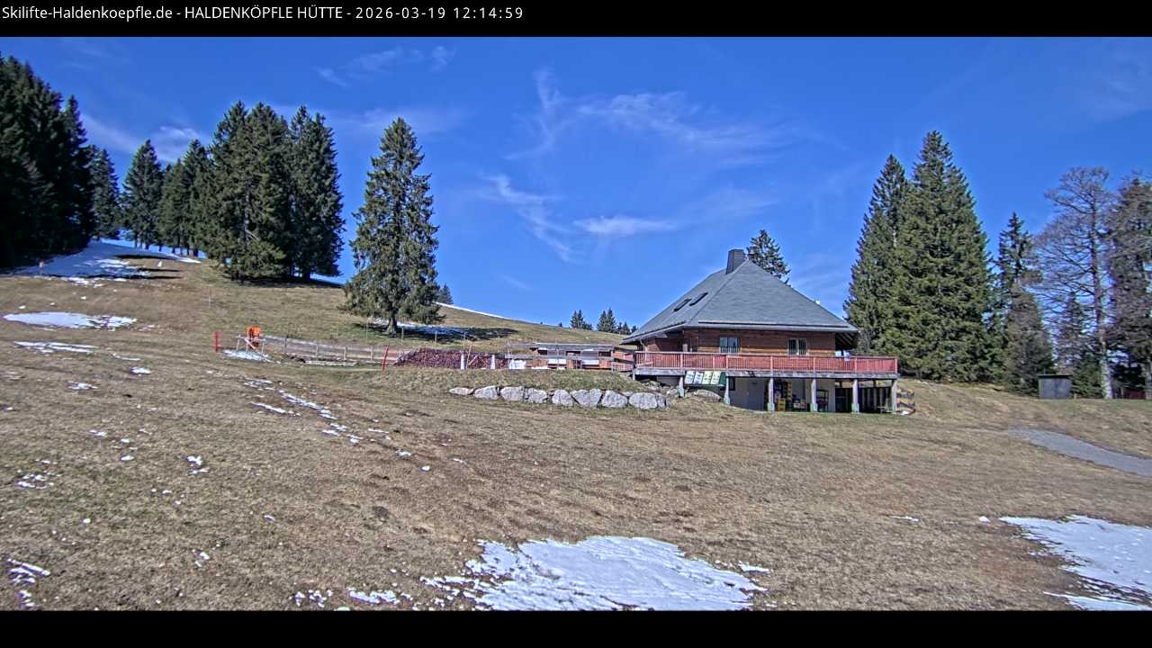 Archiv Foto Webcam Haldenköpfle im Schwarzwald - Hütte